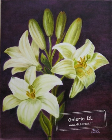 Parfum de Lys