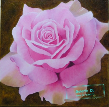 Rose de Mariage
