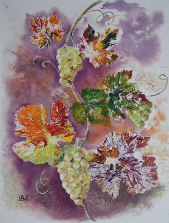 Dans les vignes