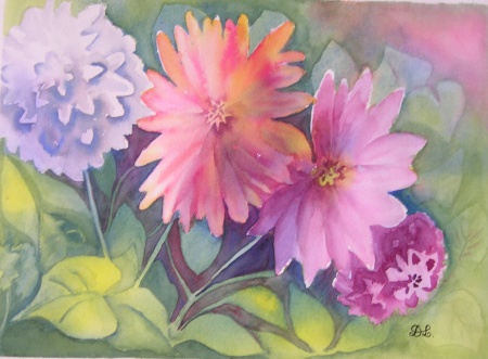 Dahlias