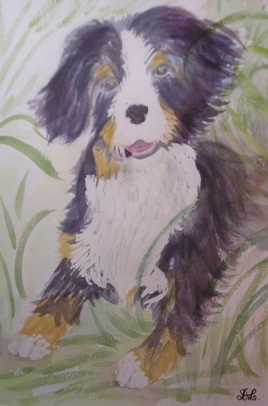 Petit chien noir